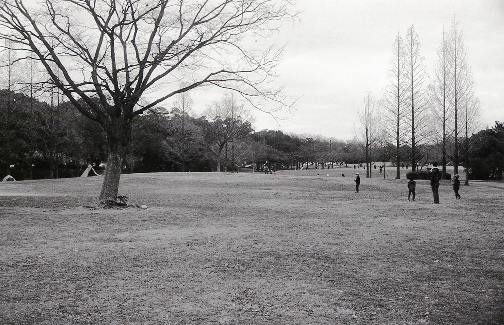 広大な平和公園を歩く