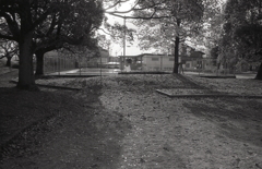 落ち葉に囲まれる児童プール