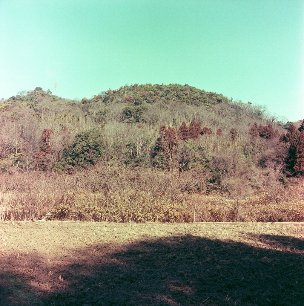 里山の風景