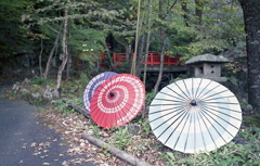 散策路の和傘