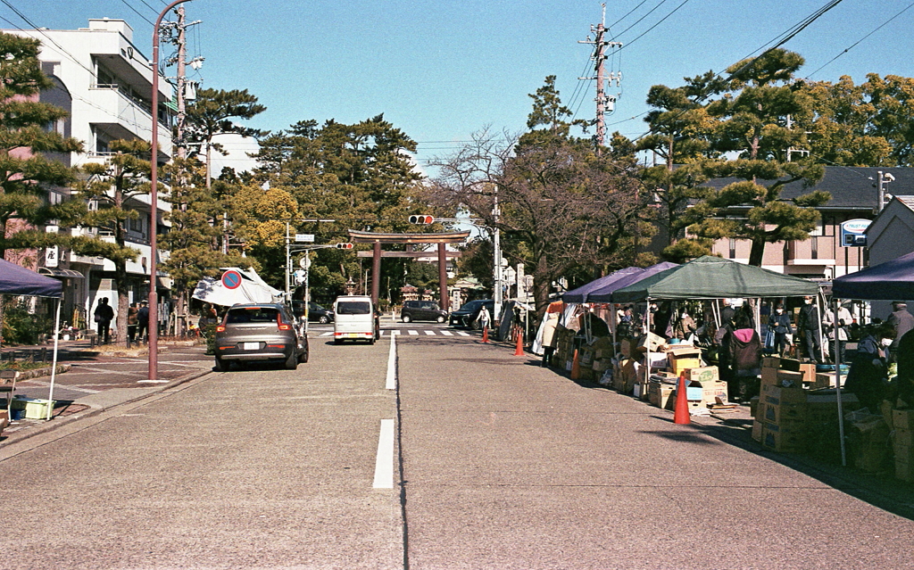 奥に控える豊国神社