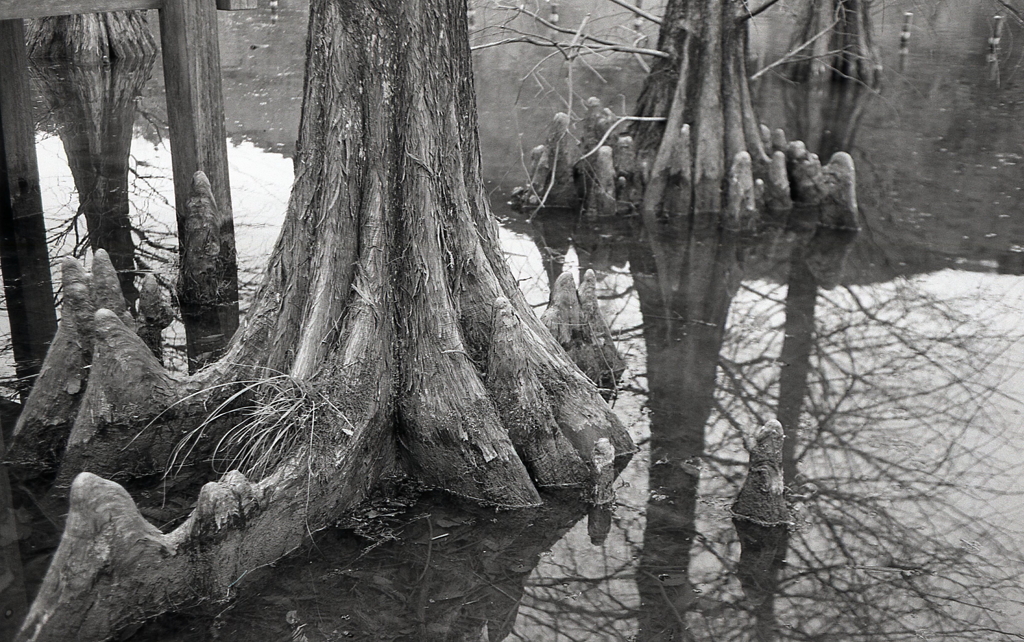 Minolta HI-MATIC E 試写Ⅶ