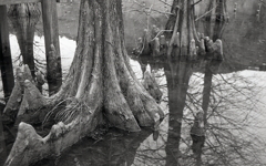 Minolta HI-MATIC E 試写Ⅶ