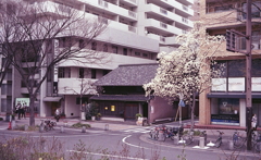 ビルの廻間の瓦葺