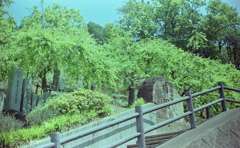 大縣神社「梅園」