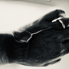 目覚めるとじっと手をみていた