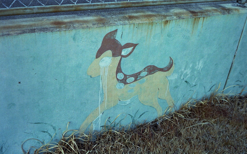 また撮ってしまった…「悲しいバンビ」