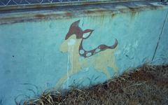 また撮ってしまった…「悲しいバンビ」