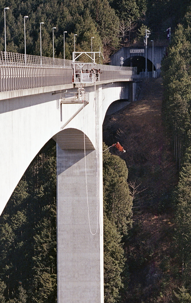 キャァ～！飛び降りたぁ～！！！