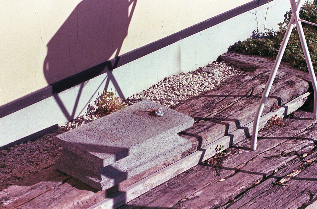 ずっと置かれたままの小さなアクセサリー