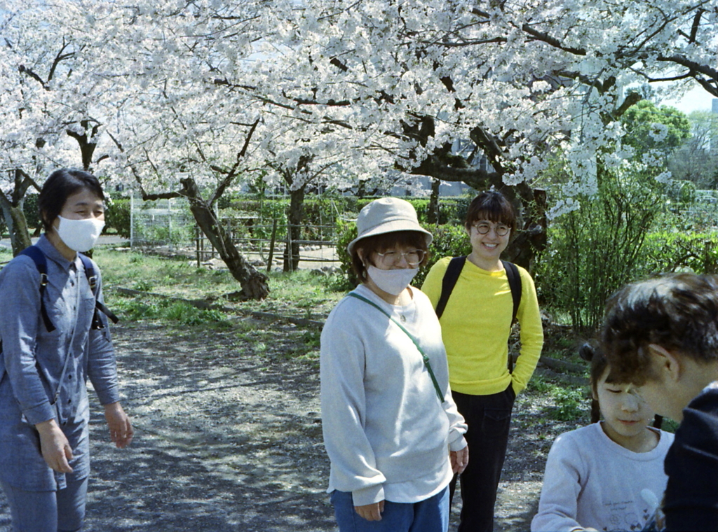 王子の桜　by PEN EE