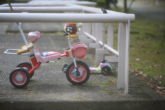 三輪車 三輪車