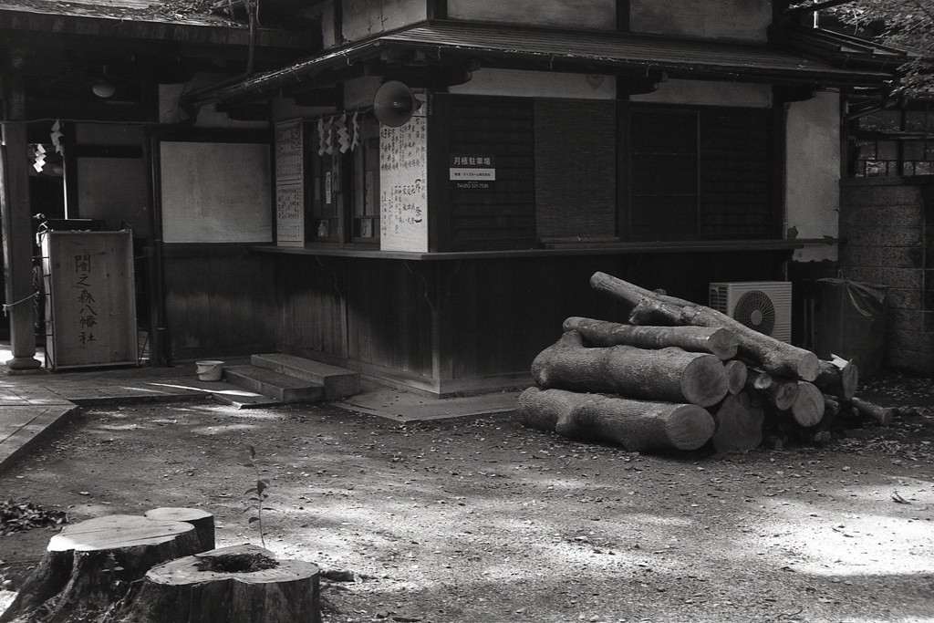 社務所前の丸太