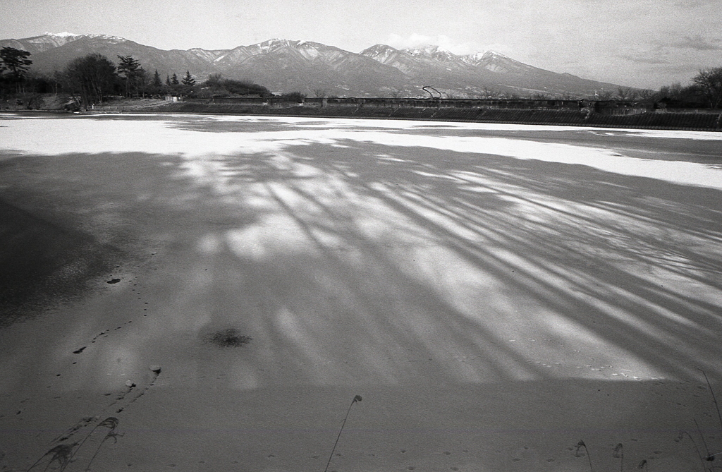 凍てついた湖面の木影