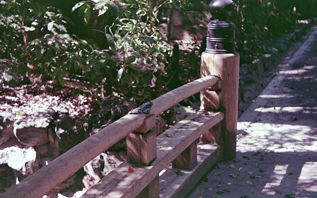 二十五丁橋を眺める橋