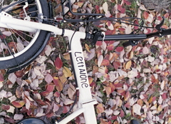 落葉（らくよう）と Left Alone