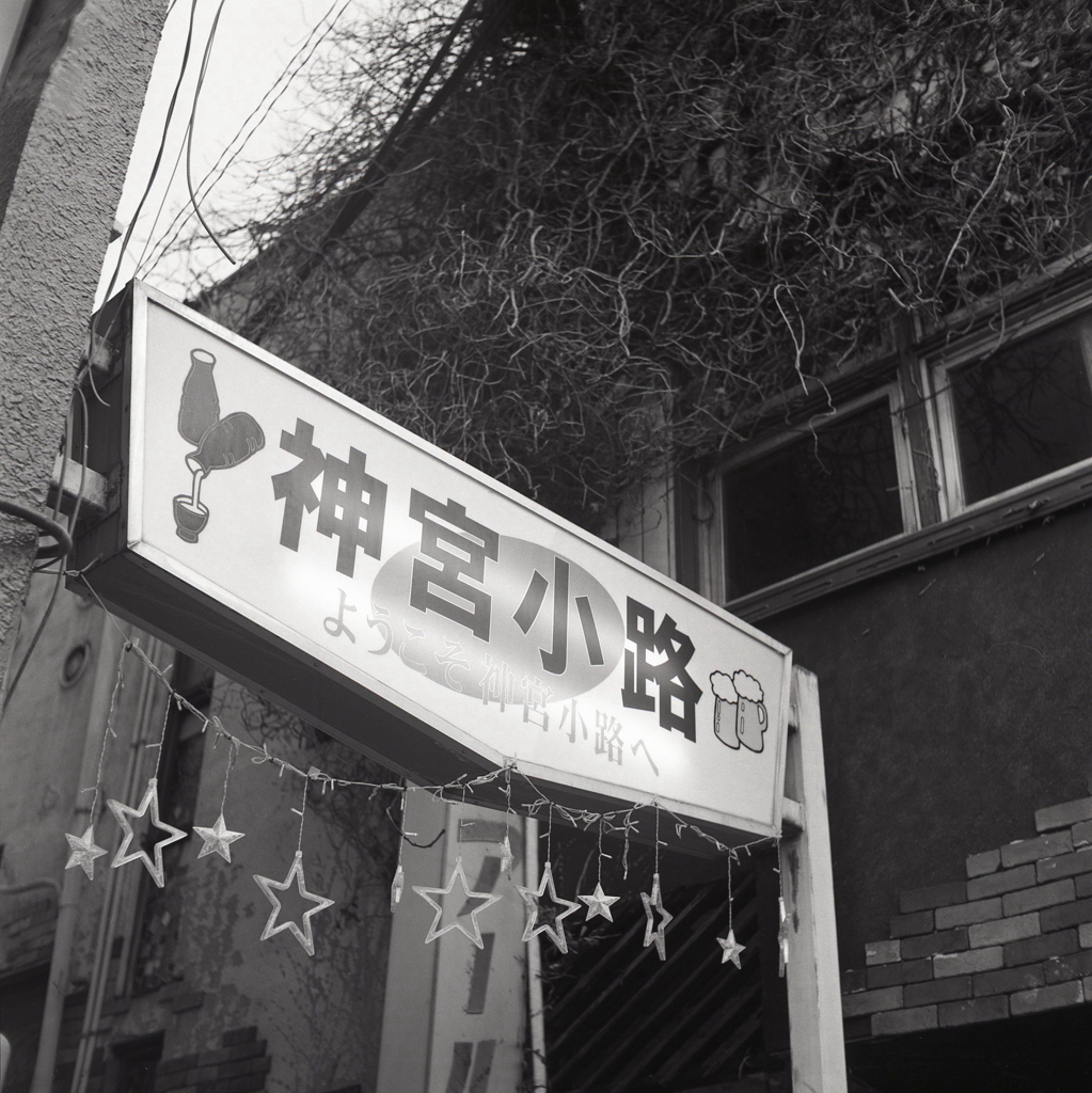 その路地を左へ