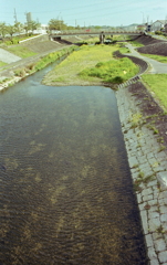 マリ散歩の河川敷