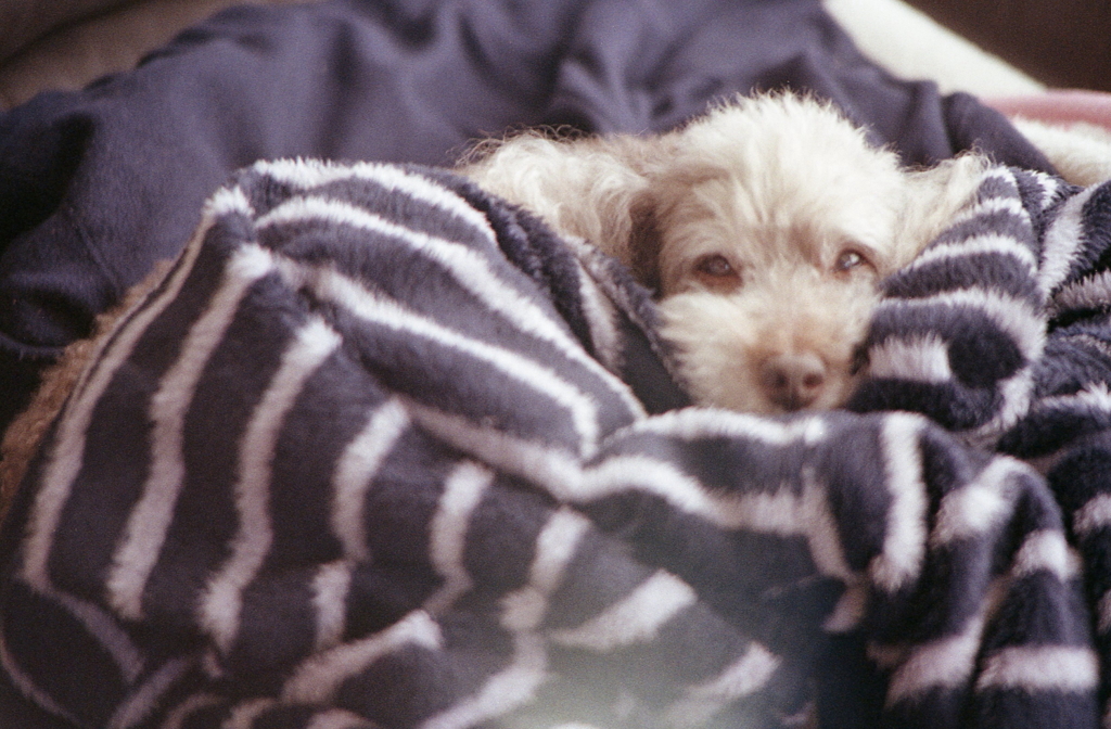 そして目を覚まし…　～家撮りフォト