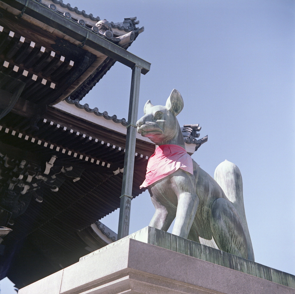 両対のお狐様