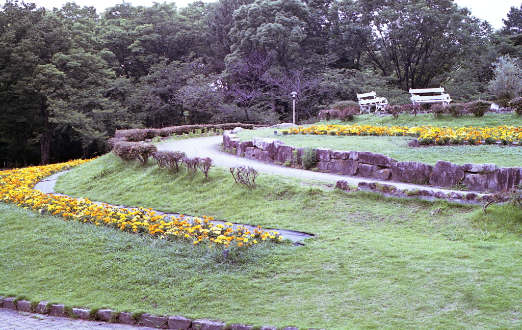 円周に咲く花壇とベンチ