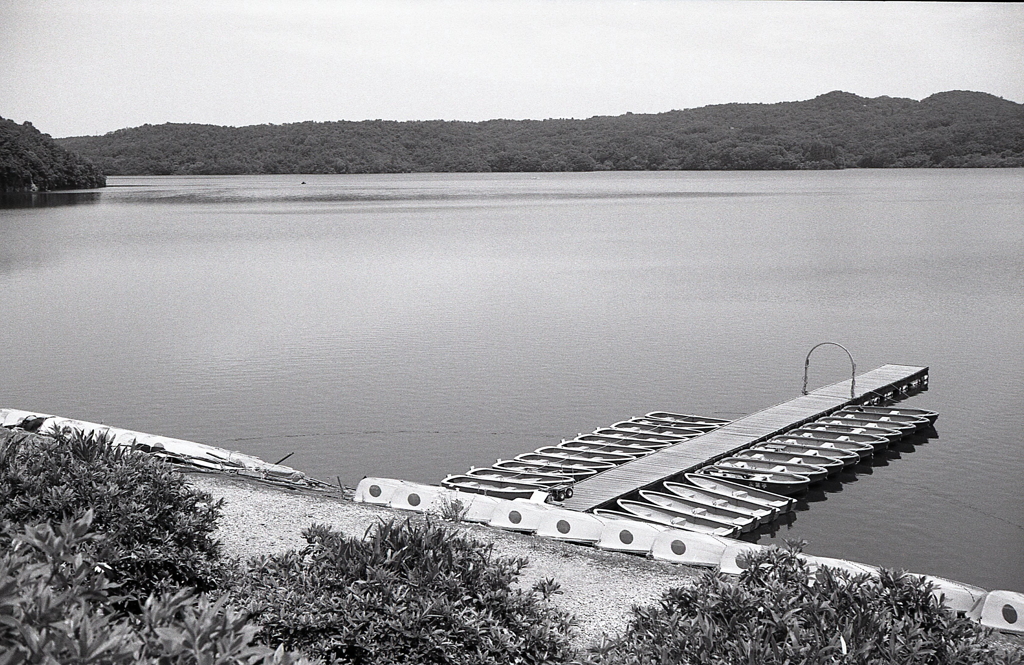 RETINETTE＆AGFA APX100
