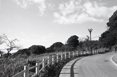 山腹のカーブ