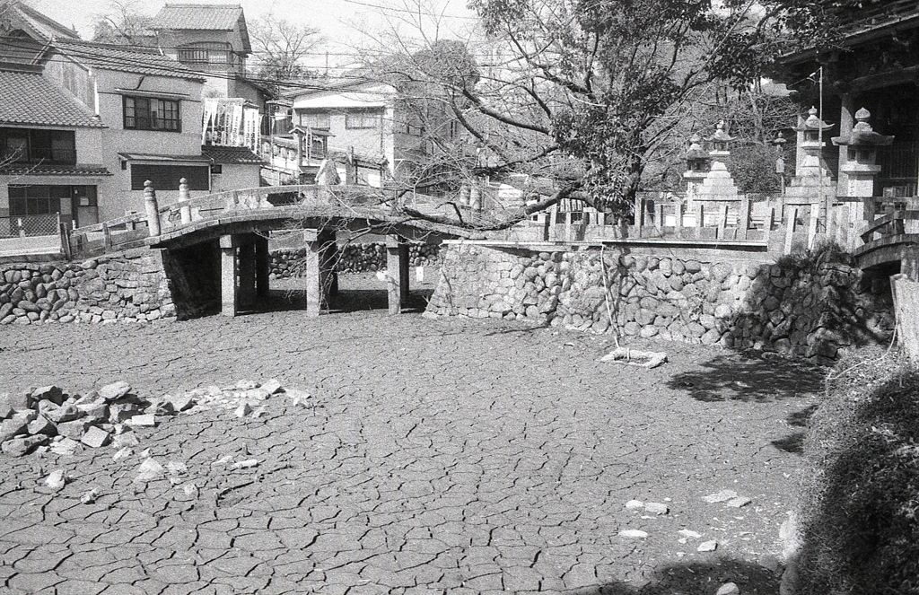 干された亀池