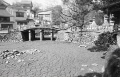 干された亀池