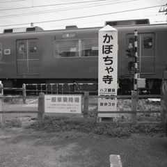 東幡豆駅で見つけた「かぼちゃ寺」