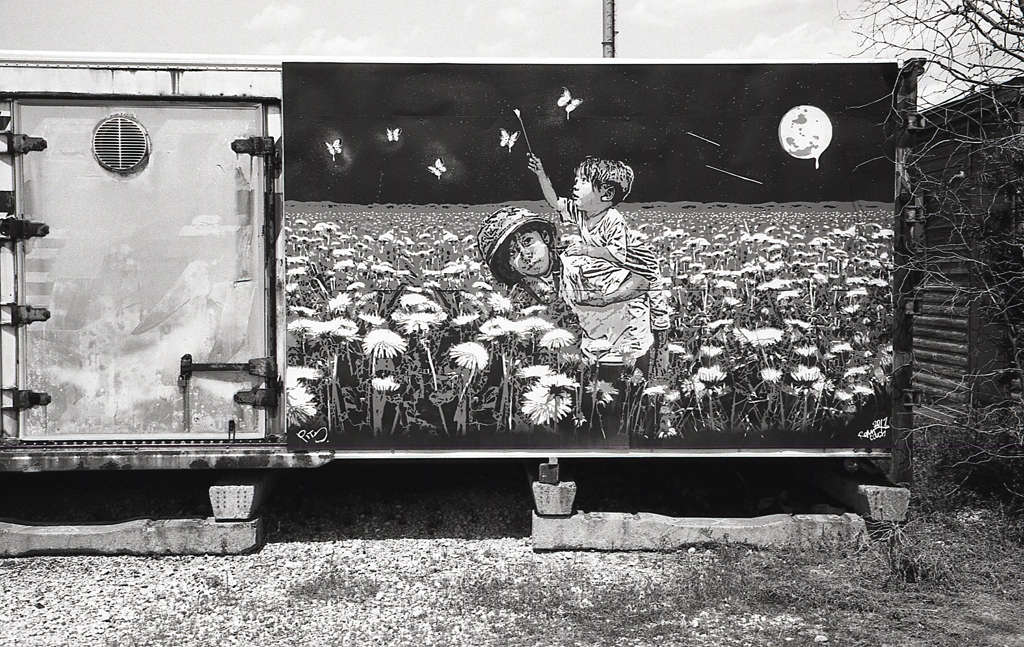 花畑の軍事ヘルメットの子供たち