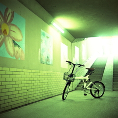 地下道とマイ自転車（笑　～クレイジーな１２ショット！