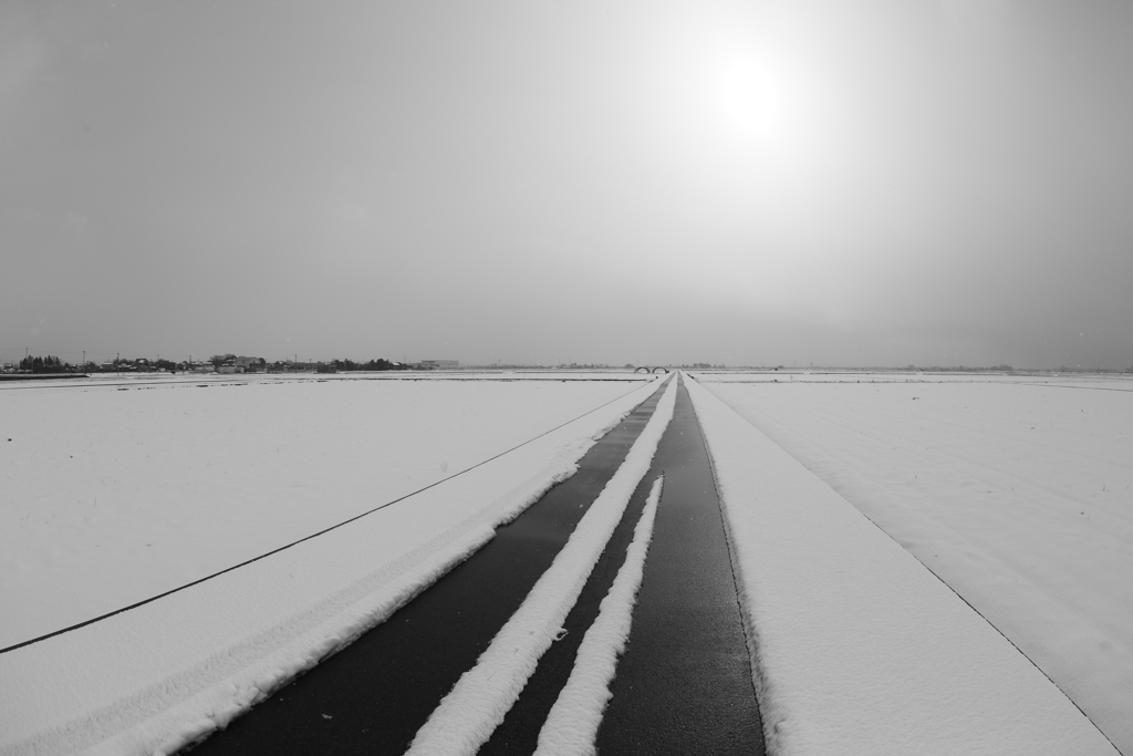 ちょっと涼しい写真でも…