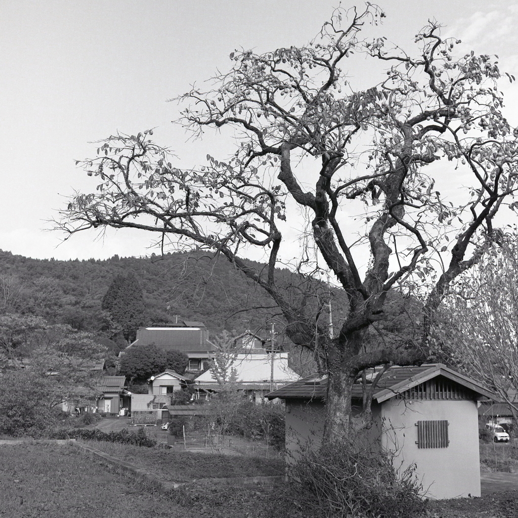 里山の村風景