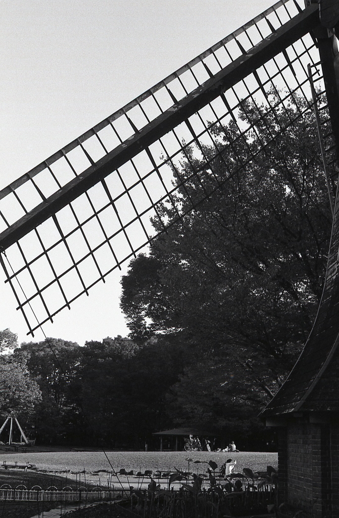 今日は少し暖かいようだ。