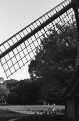 今日は少し暖かいようだ。