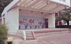 金魚のステージ