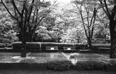 コロナシールのベンチが寂しそう