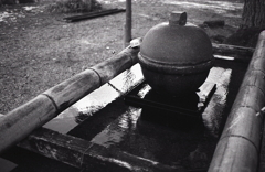 水を湛えた石茶釜の手水舎