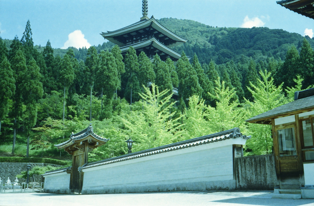大門白壁から五重塔