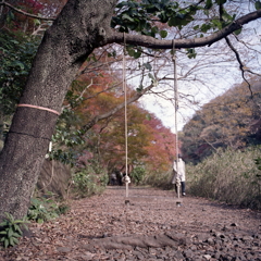 散策路のブランコ