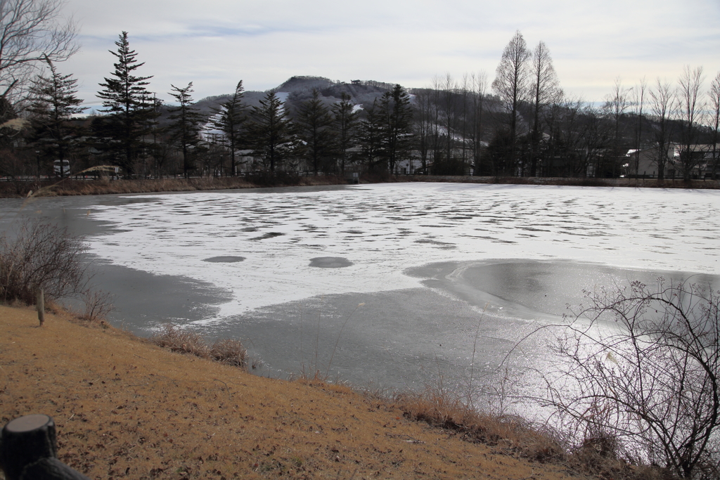 氷結する矢ヶ崎公園