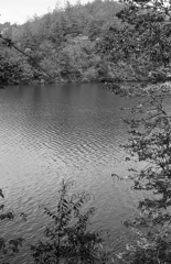 偶に湖面が見えるんです。