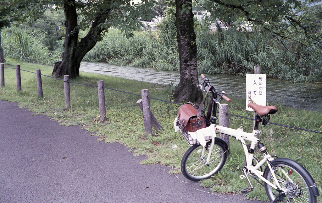 自転車に乗って…御用水のはじまり