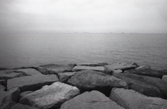 伊勢湾を望む 伊勢湾を望む