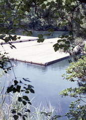 木陰から見える浮きプレート