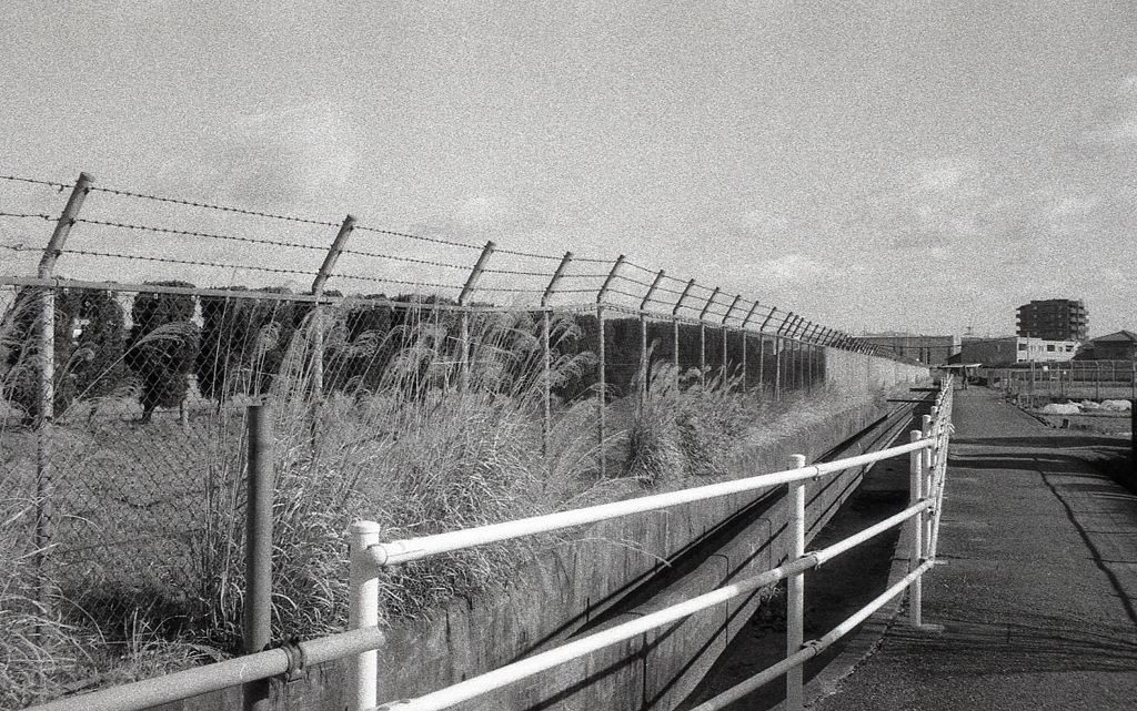 米軍基地もこんな風景なんだろな。