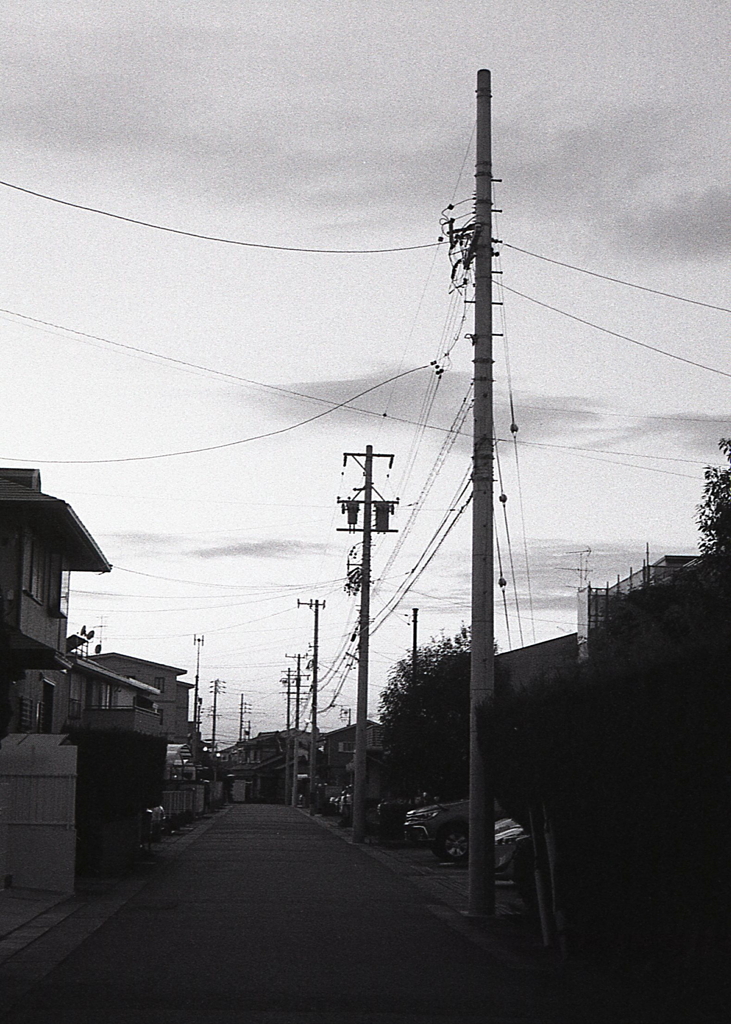 夕暮れのシルエット