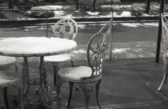 レストラン硝子越しのワンショット