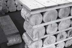 ＩＳＯ３２０でのFoma RETROPAN320